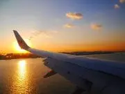 四つ葉のクローバーの画像