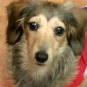 カミュ アンジェの画像