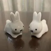 あんず*の画像