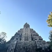 ととの画像