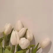 しぎの※纏め買い値下げ可の画像