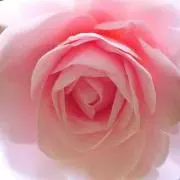 肝九郎