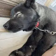 16の画像