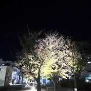 Mkの画像