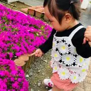 きょうの画像