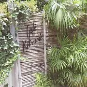 みきの画像