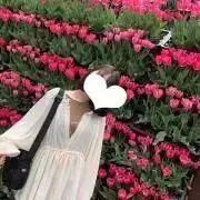 はまの画像