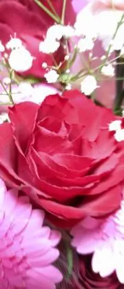 華子の画像