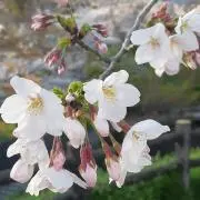 美容好きママ☆の画像