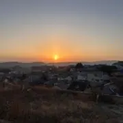 つるさんぽの画像