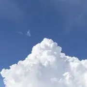 うさまるの画像