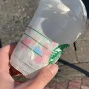 Soraの画像