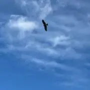 優寿