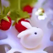 プッチー