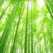 ichi-jiku*コメント無し購入歓迎
