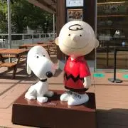 Ⓜ︎（プロフ必読）の画像