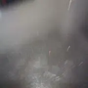 いわしの画像