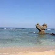 イアーゴー（お値下げ可能）の画像