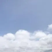 Masasaの画像