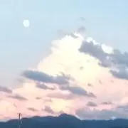 ツキの画像