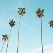 LAVEの画像