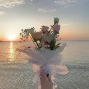 ❁⃘の画像