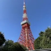 myiiの画像