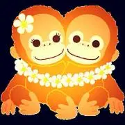 COCONATSU