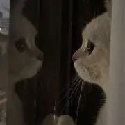 ゆうの画像