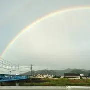 緑茶の画像