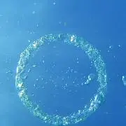 Keiの画像