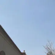 ちゃかの画像