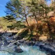 やま【基本24時間以内発送】の画像