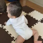 おいすたーの画像