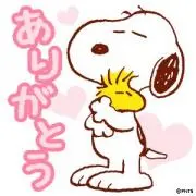 こうゆうの画像