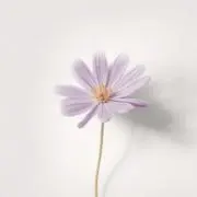 ki *の画像