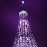 つゆぽん