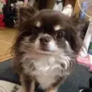メタぴちょだぬん(笑)