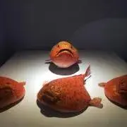 てんてこまいの画像