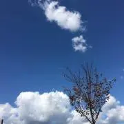 *ochamo*