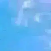 もょの画像