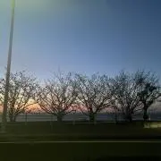 ひろ