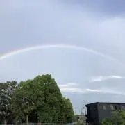 チョコ⭐︎の画像