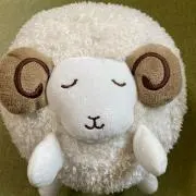 ちゃす