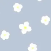 rの画像
