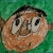 shintaroz