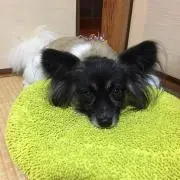 るんるん
