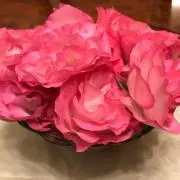 ゆんゆんの画像