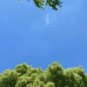 びーだいの画像