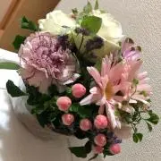 komamaの画像